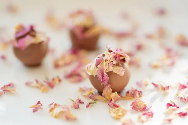 Casino Lotus Asia Android/iOS-app